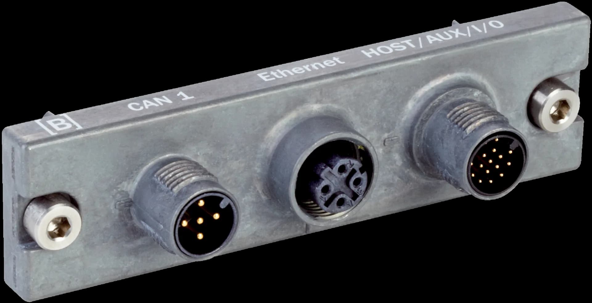Cloning plug