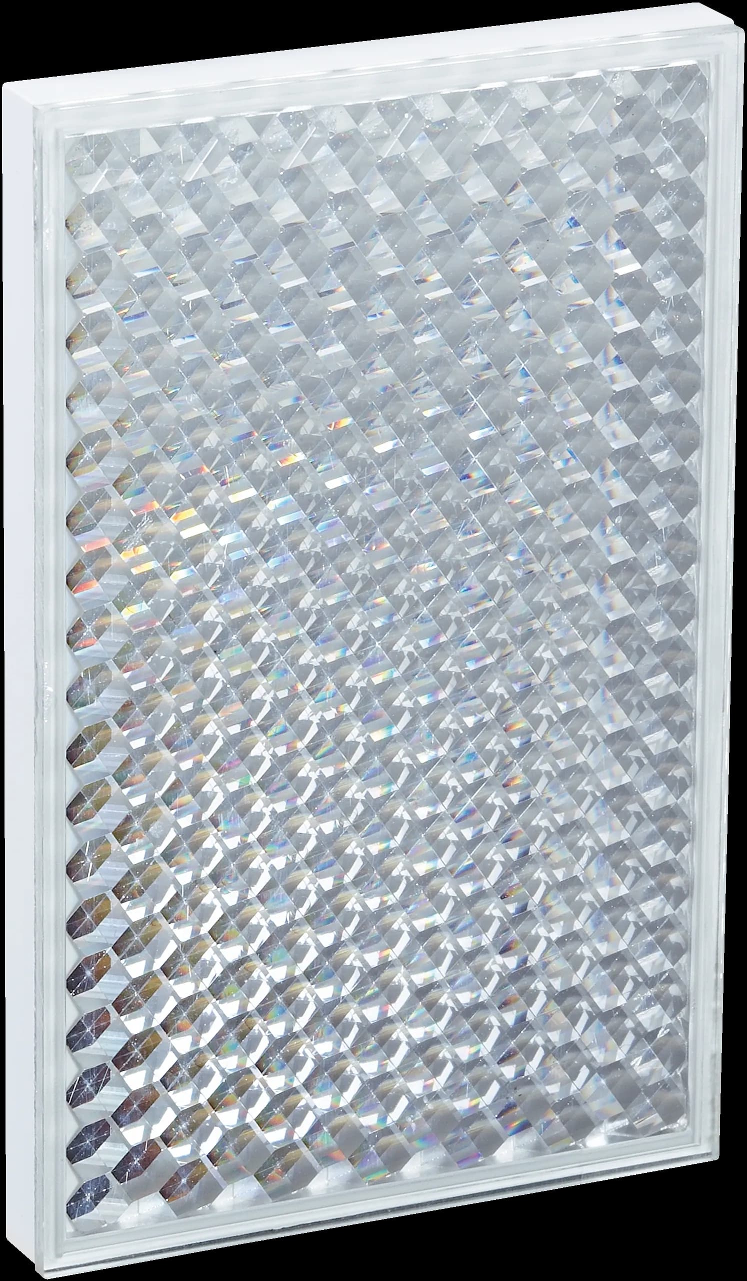 PL81