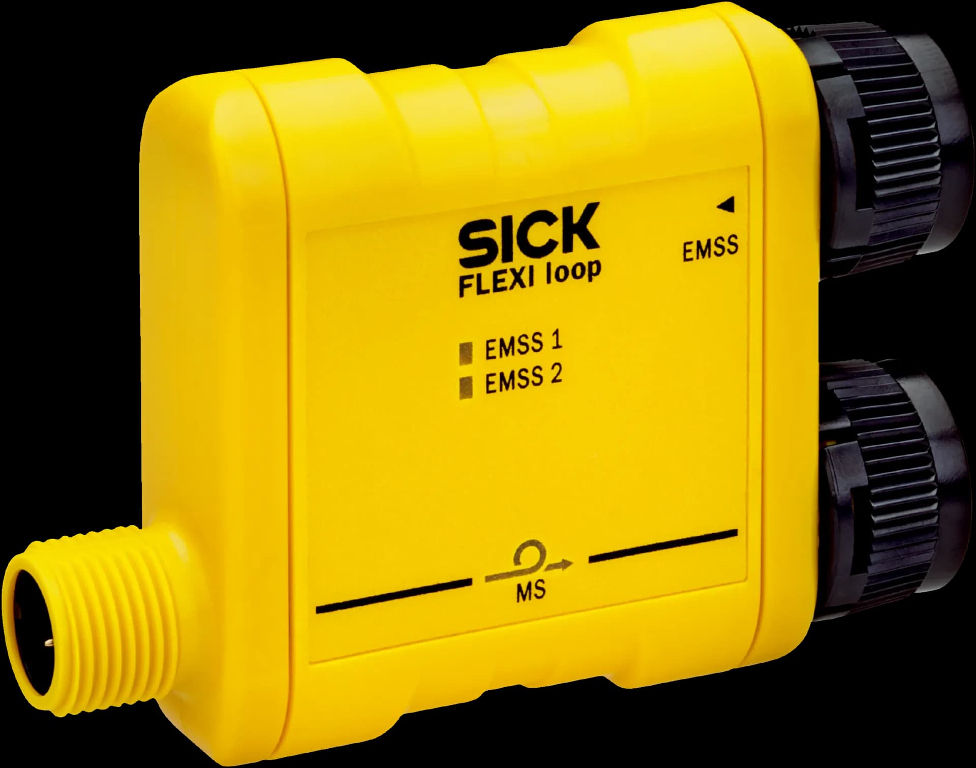 FLN-EMSS0000105