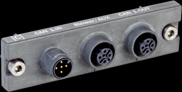 Cloning plug