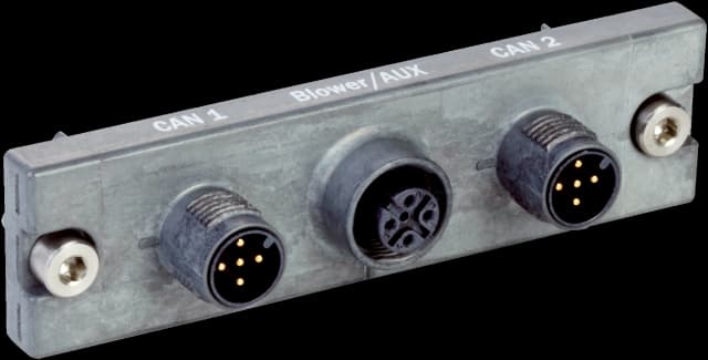Cloning plug