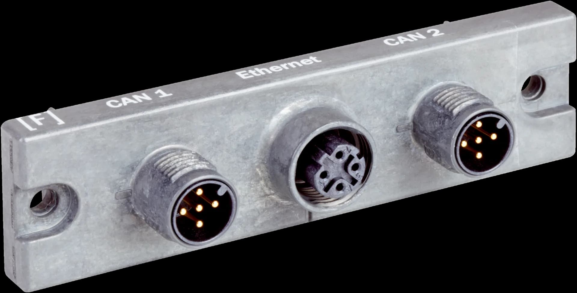 Cloning plug