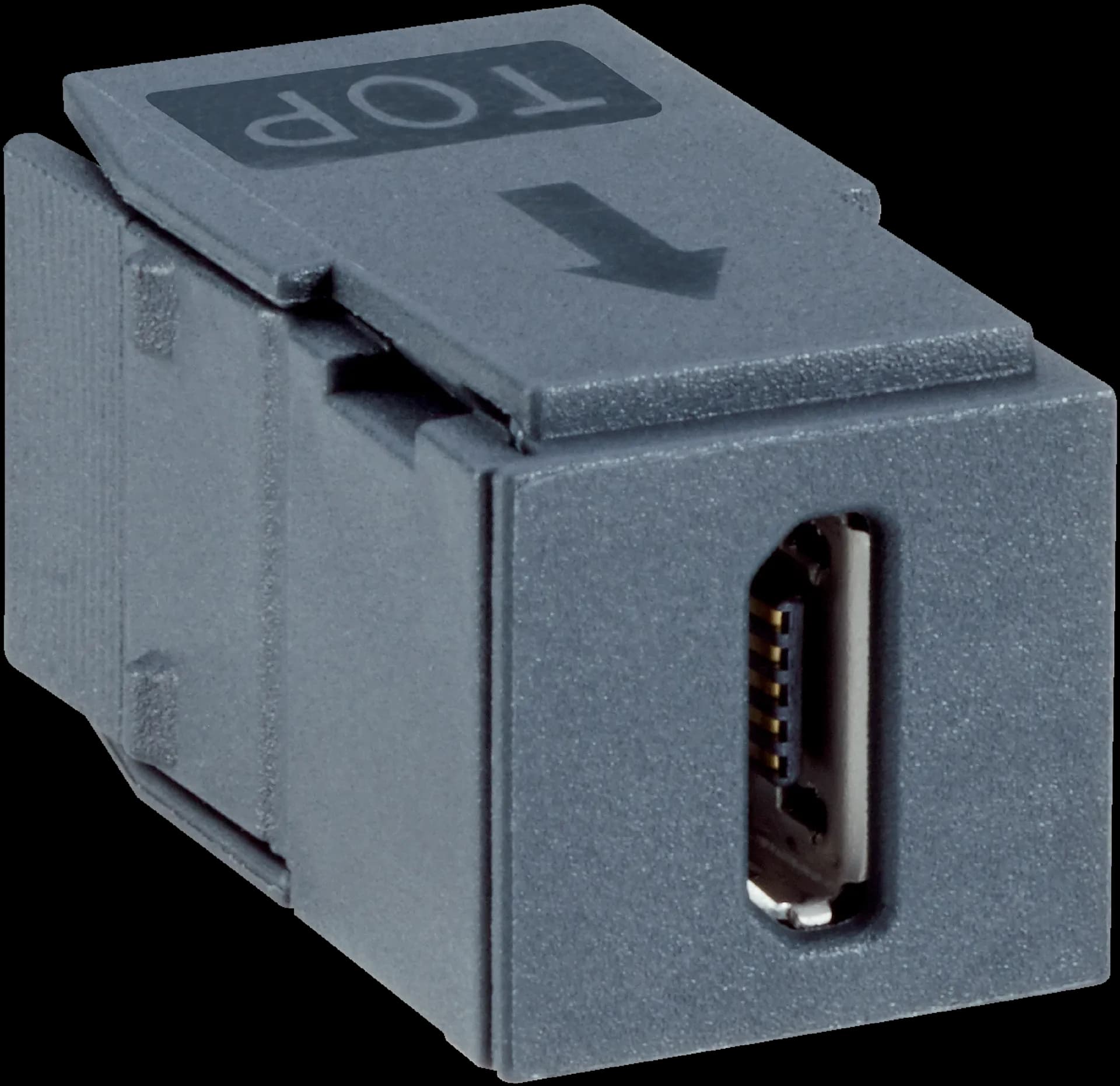 FLX3-SMPL100