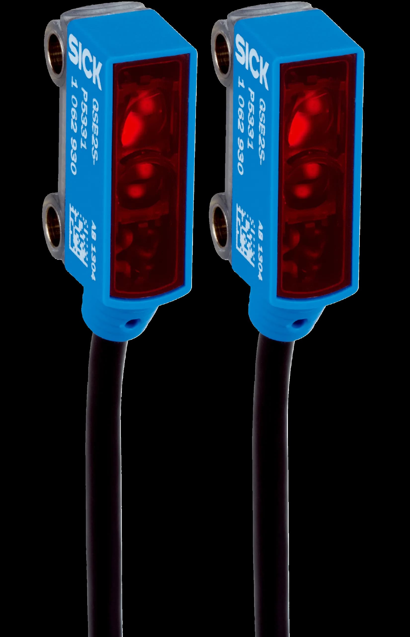 GSE2S-P1311
