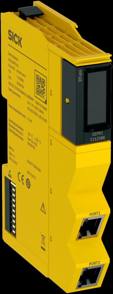 FLX3-GEPR100