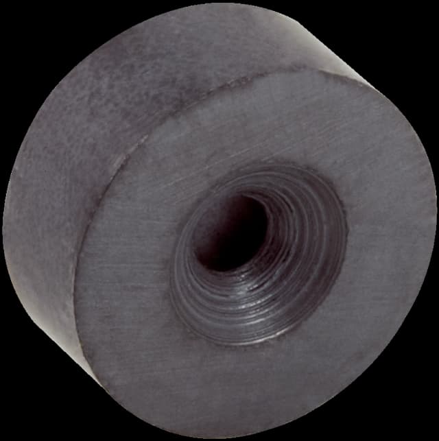 Magnet