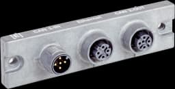 Cloning plug