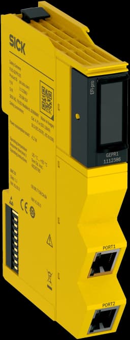 FLX3-GEPR100